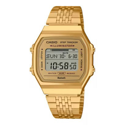 CASIO VINTAGE [ABL-100WEG-9ADR]